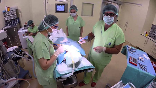 Diş Eti Ameliyatı, Riskleri ve Sonrası ameliyatlar.gen.tr